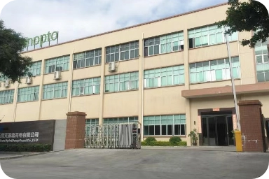 东莞艾笛森光电有限公司